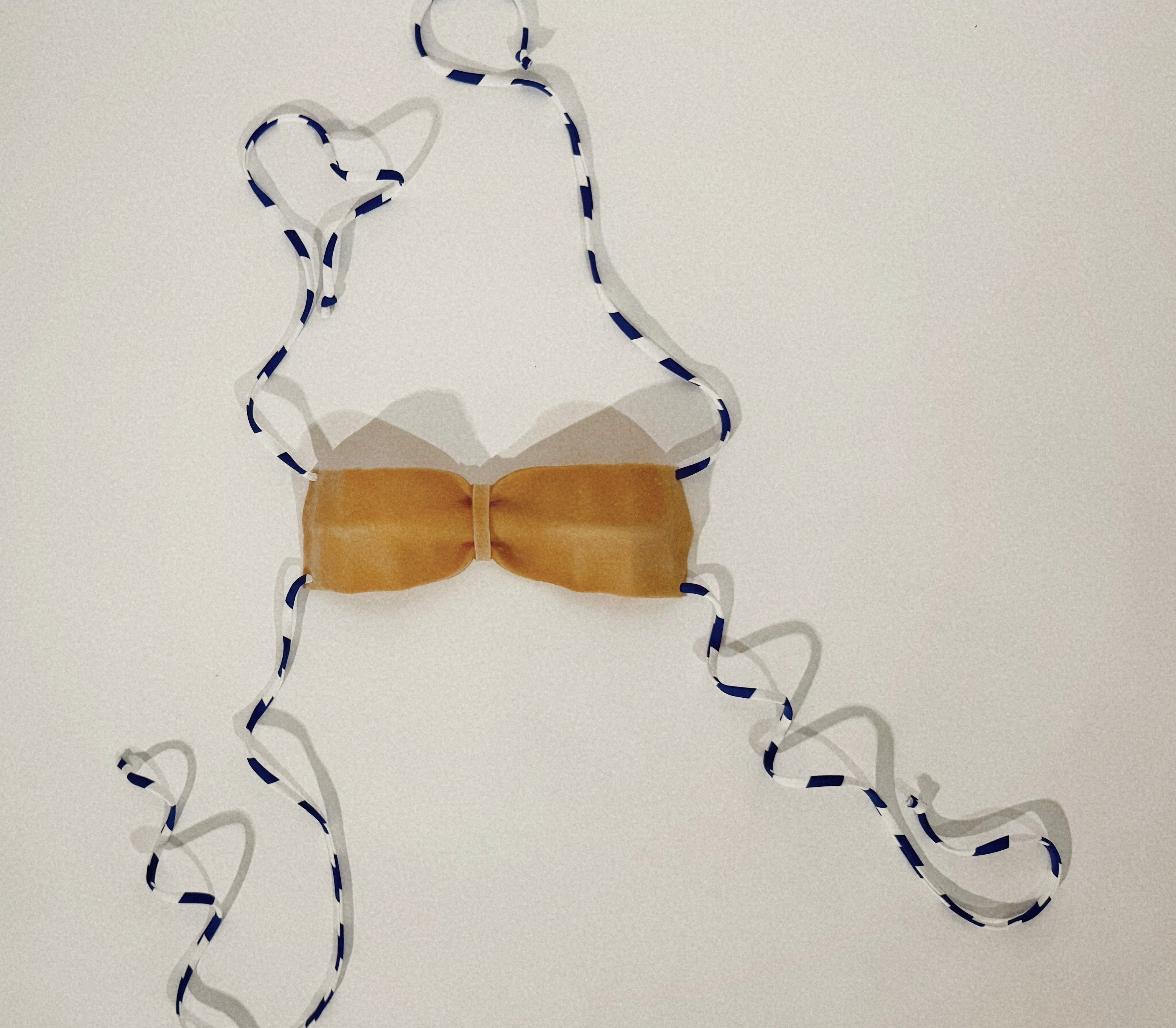 The Pasta Bikini Set